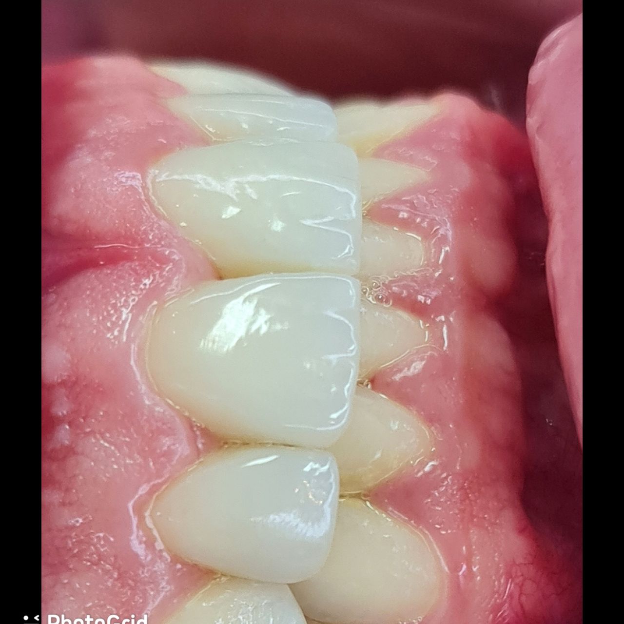 Mariana Mandim Ribeiro Marques-15