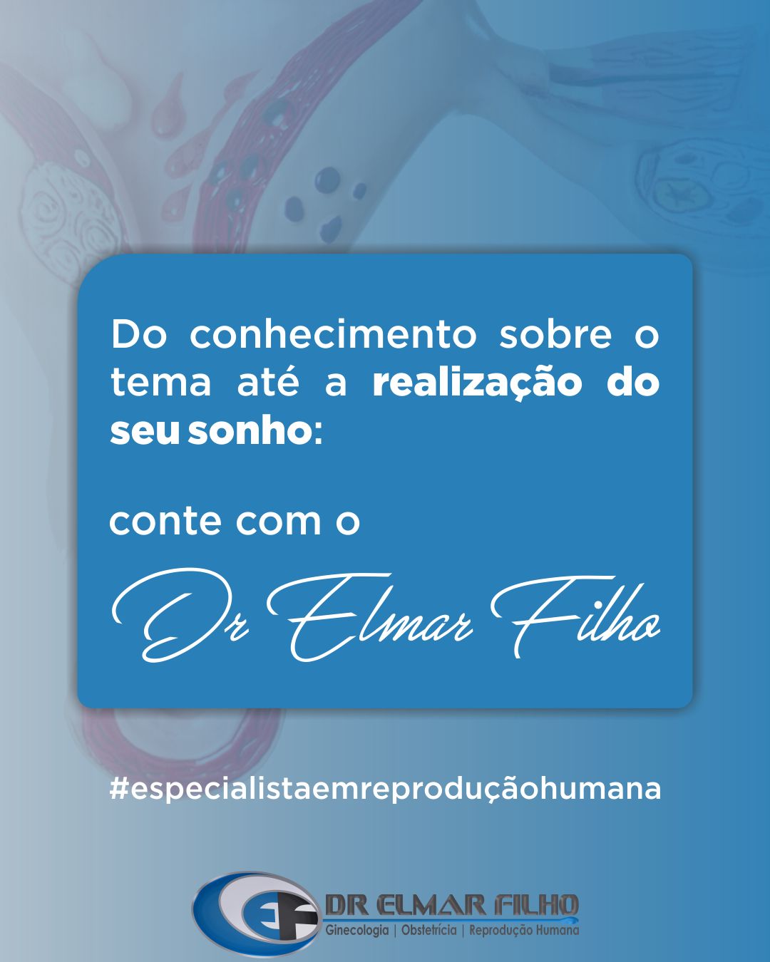 Elmar P. Pequeno Filho-6