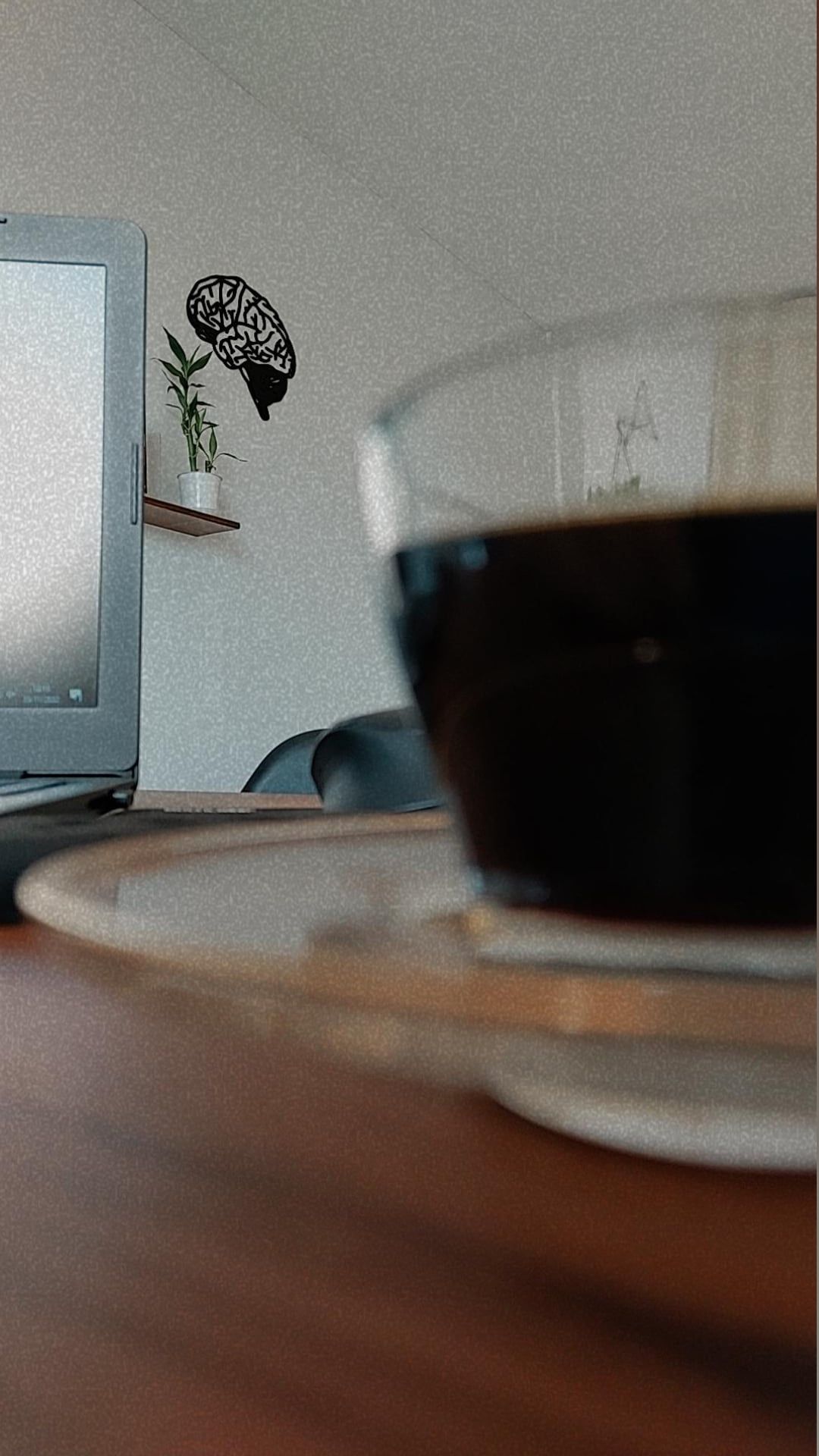 Janine Stella Macedo Maschietto Teixeira-3