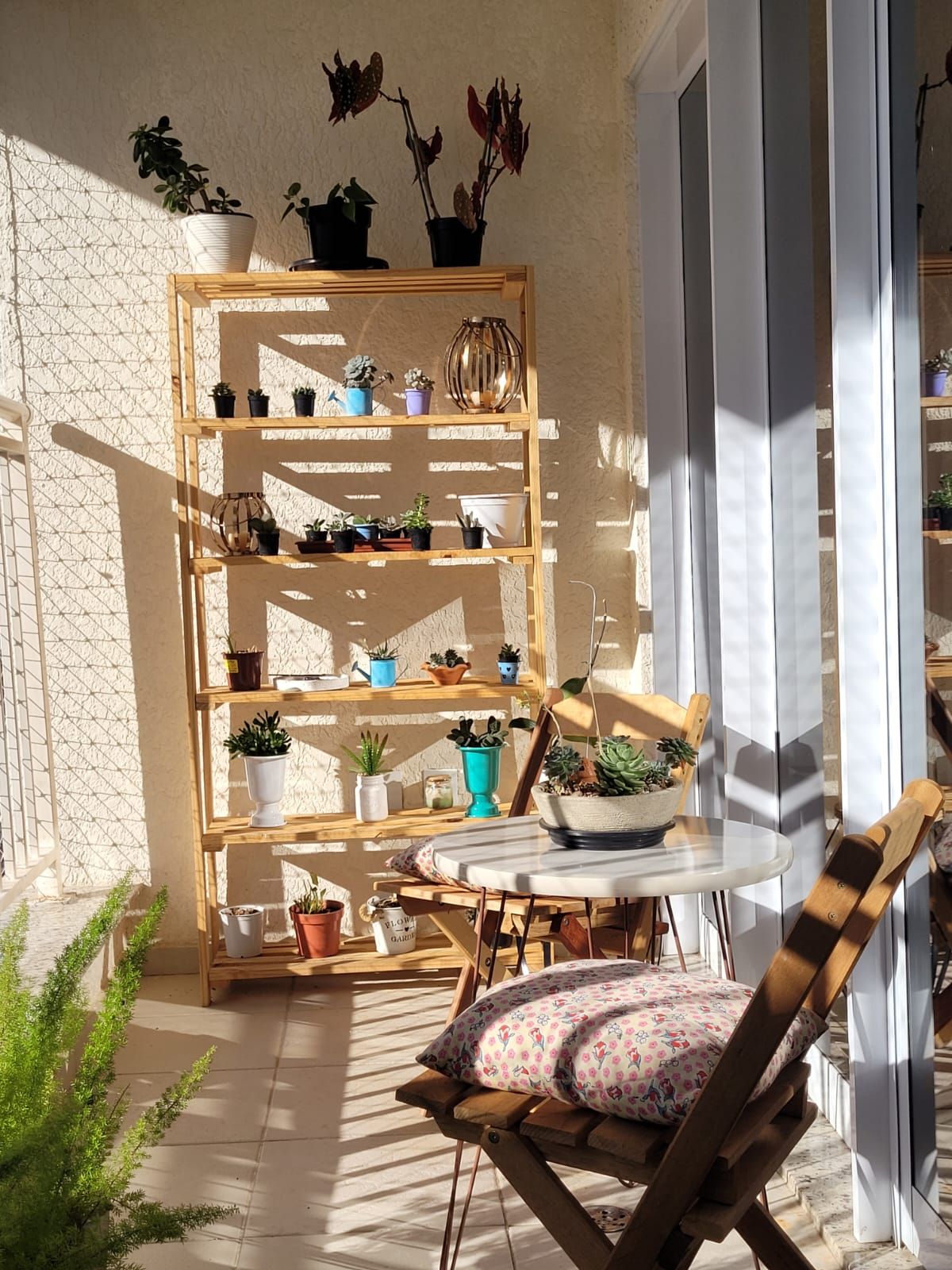 Fabiana Carreiro Leme-9