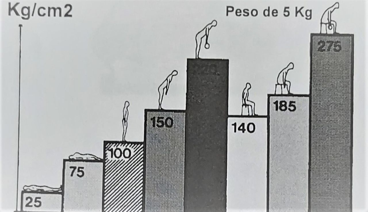 Patricia Viviana Snaiderman-6