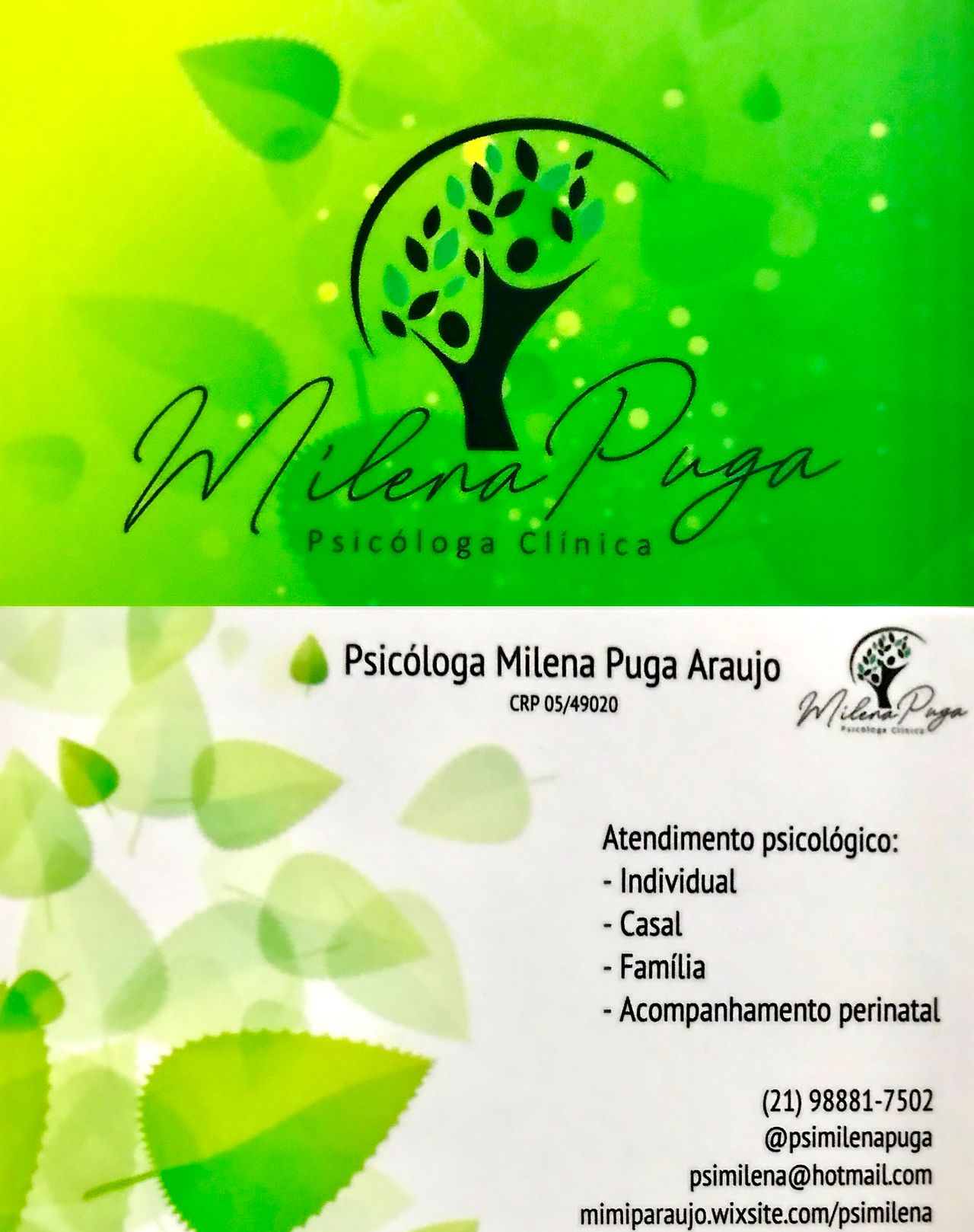 Milena Puga Araujo-1