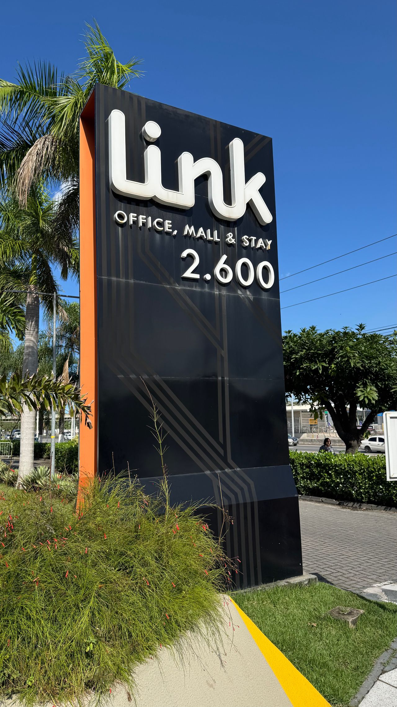 Leandro Fernandes Kotait-8