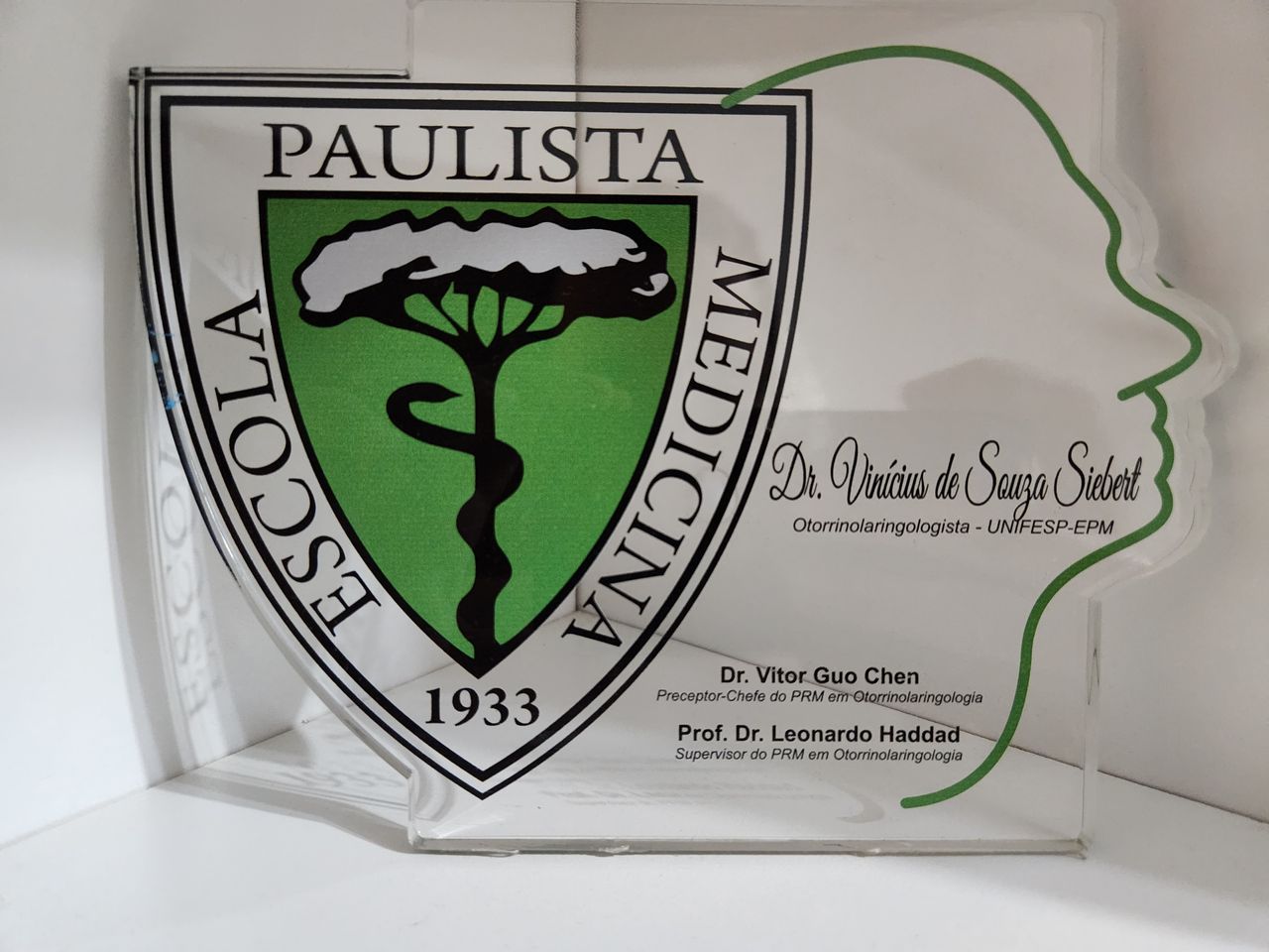 Vinícius De Souza Siebert-0