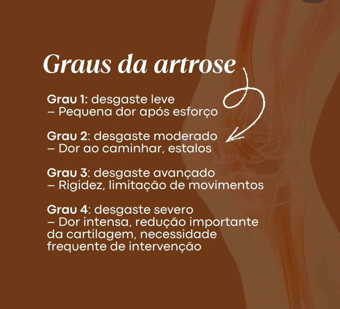 Leonardo Fernandes-1