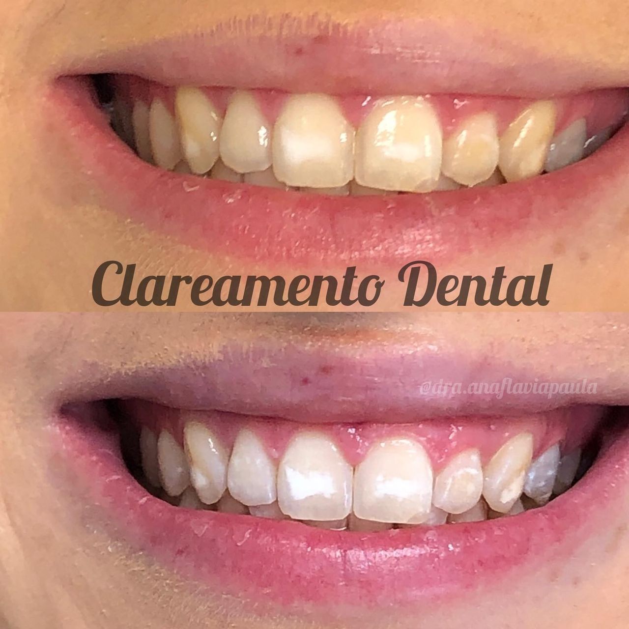 Ana Flávia Borges De Paula-10