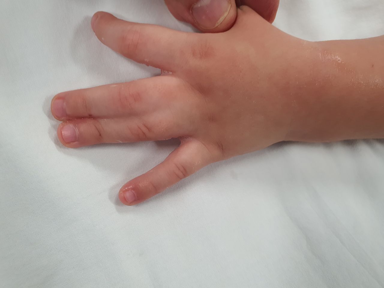 Samir Haikal Junior-14