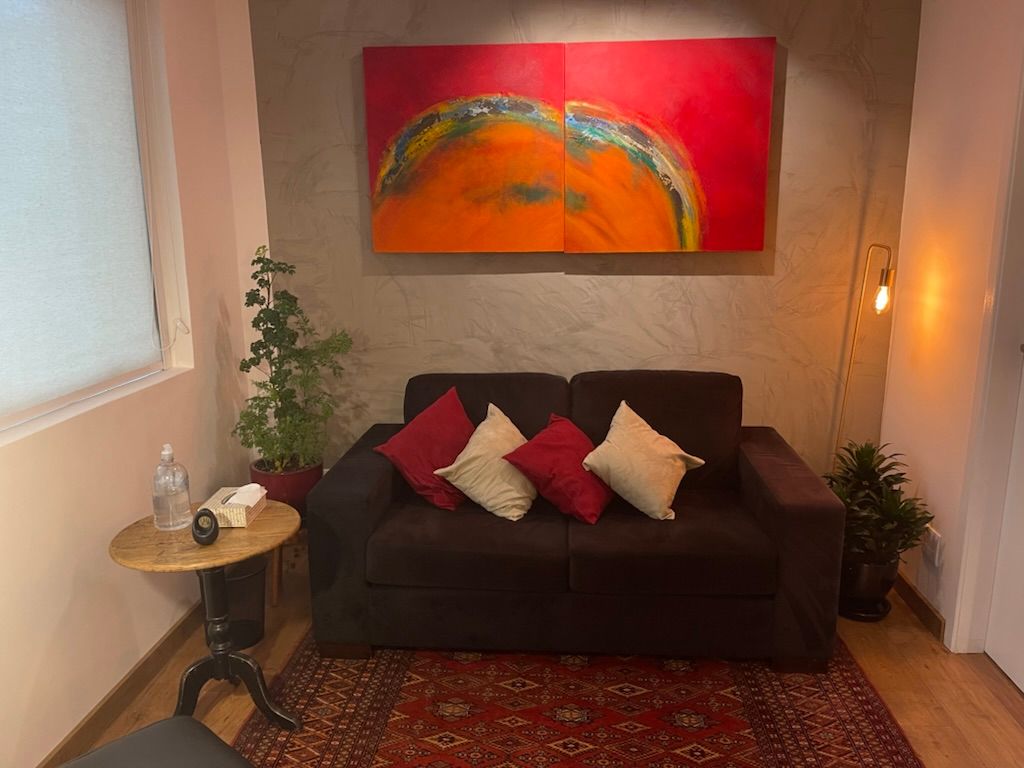 Carlos Augusto Scheffer Ribeiro-5