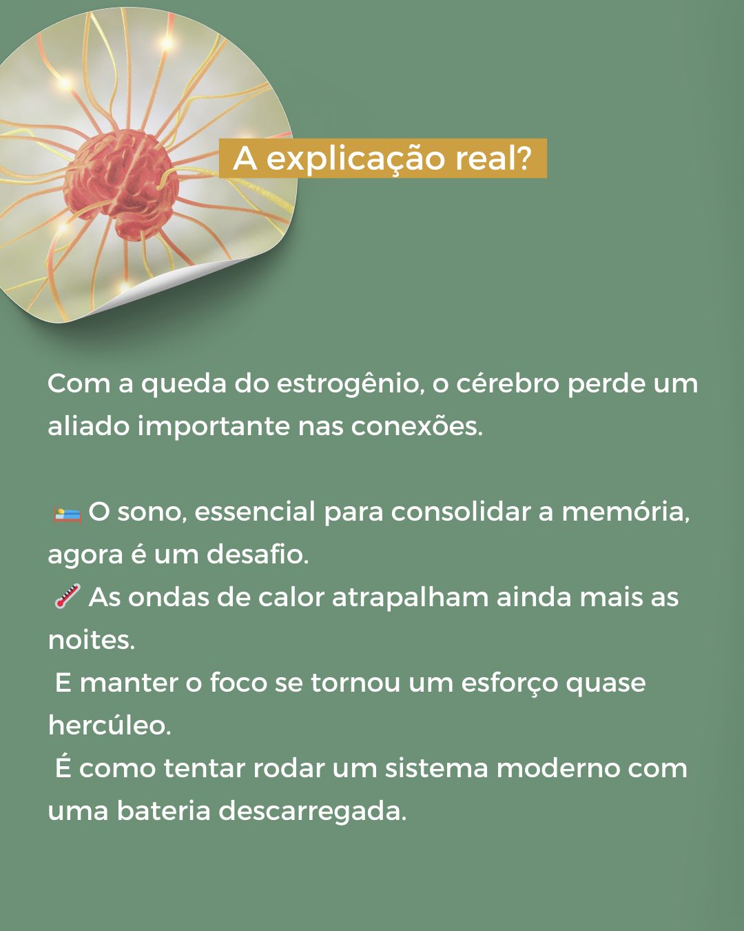 Maria Bethania Gil-5