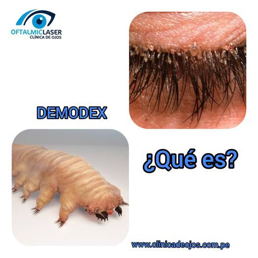 Edgar Angel Hidalgo Pecho-6