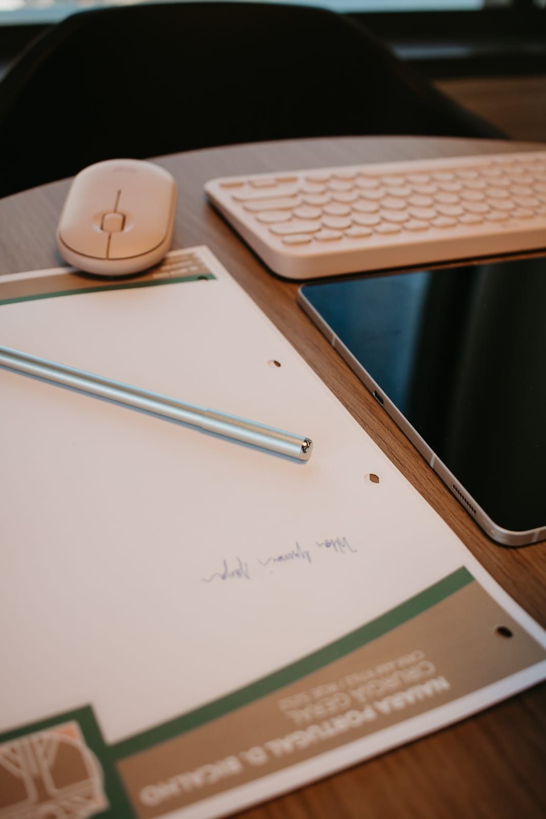 Naiara Portugal Dias Bicalho-1