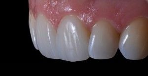 Miguel Angel Bustos Real-12