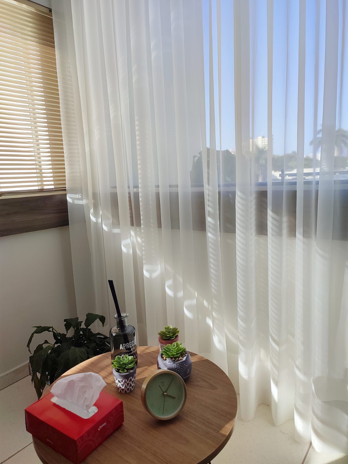 Danielle Da Veiga Delconti-3