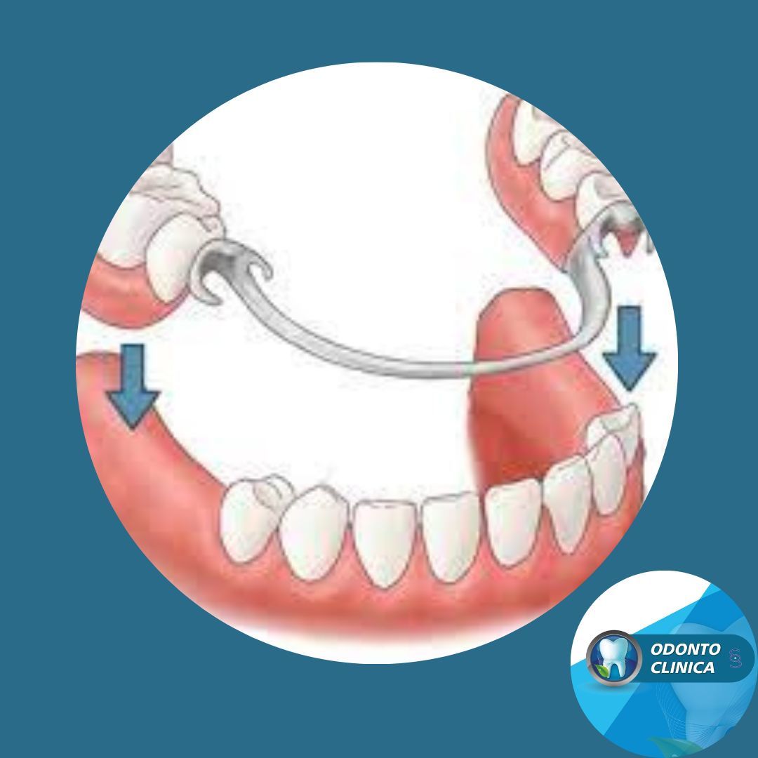 Cecilia Inés Socias Altamirano-10