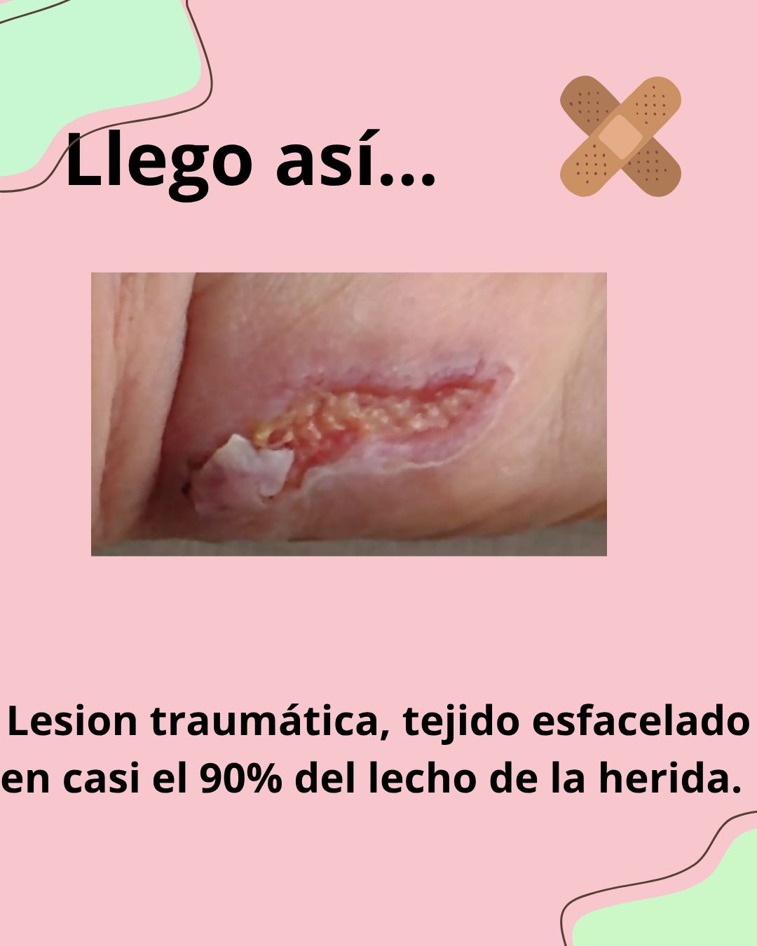 Rocio  Martin Hidalgo-1