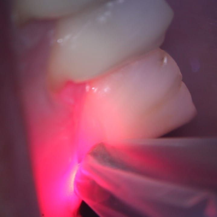 Andréa Longoni Fredrich-5