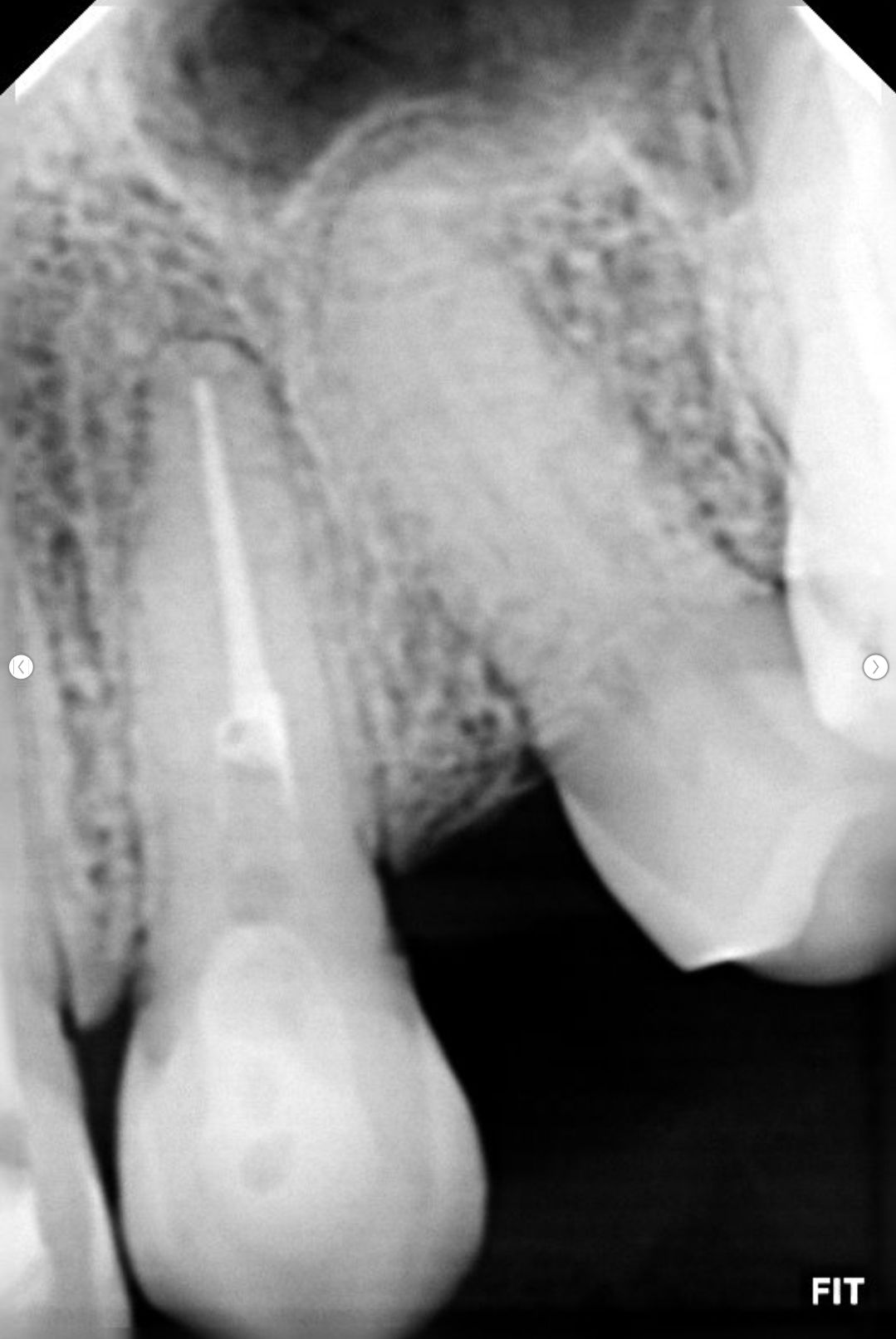 Daniele  Sunto Spinola-5