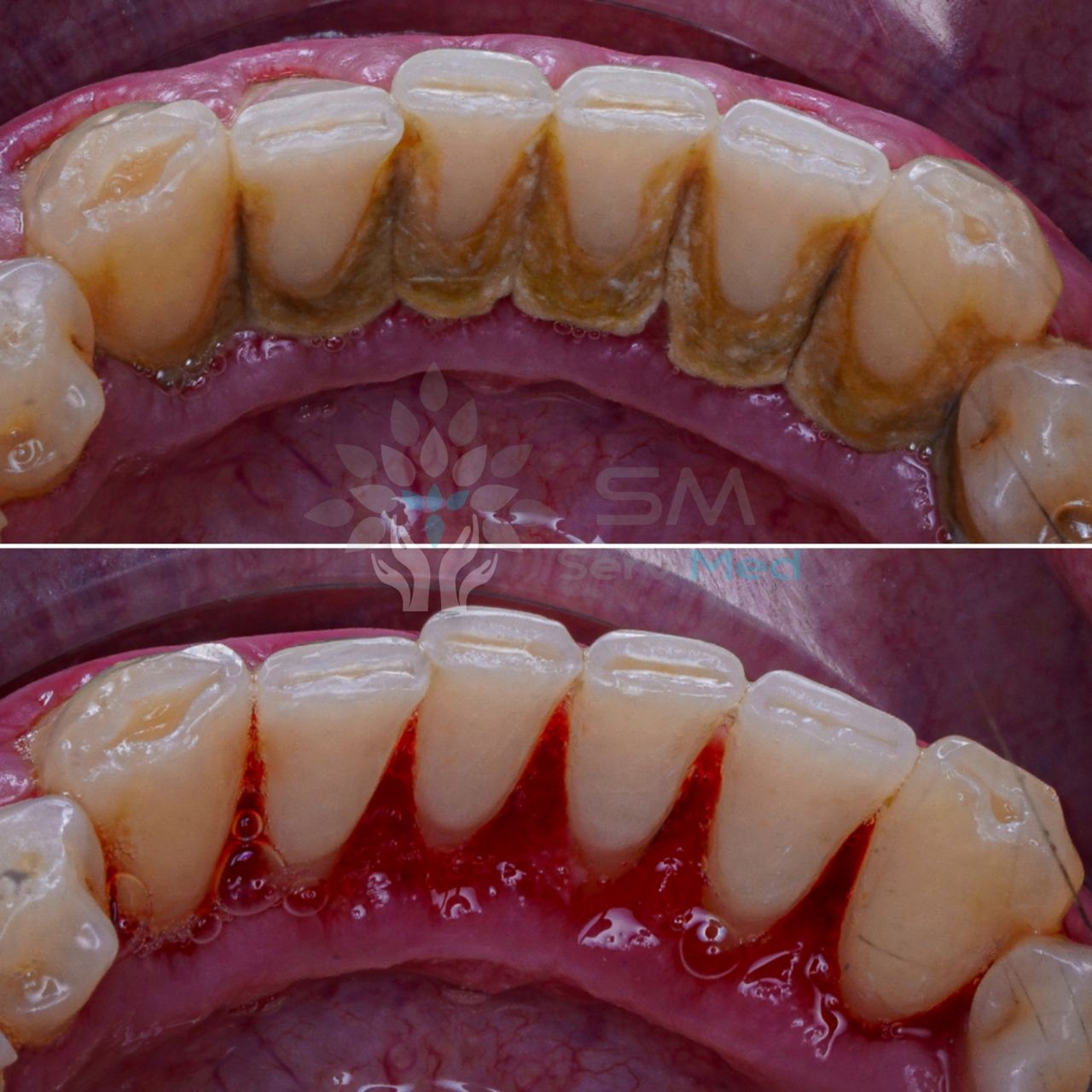 Javier Garrido Tirado-21