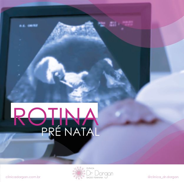 Luiz Carlos Dorgan Júnior-33