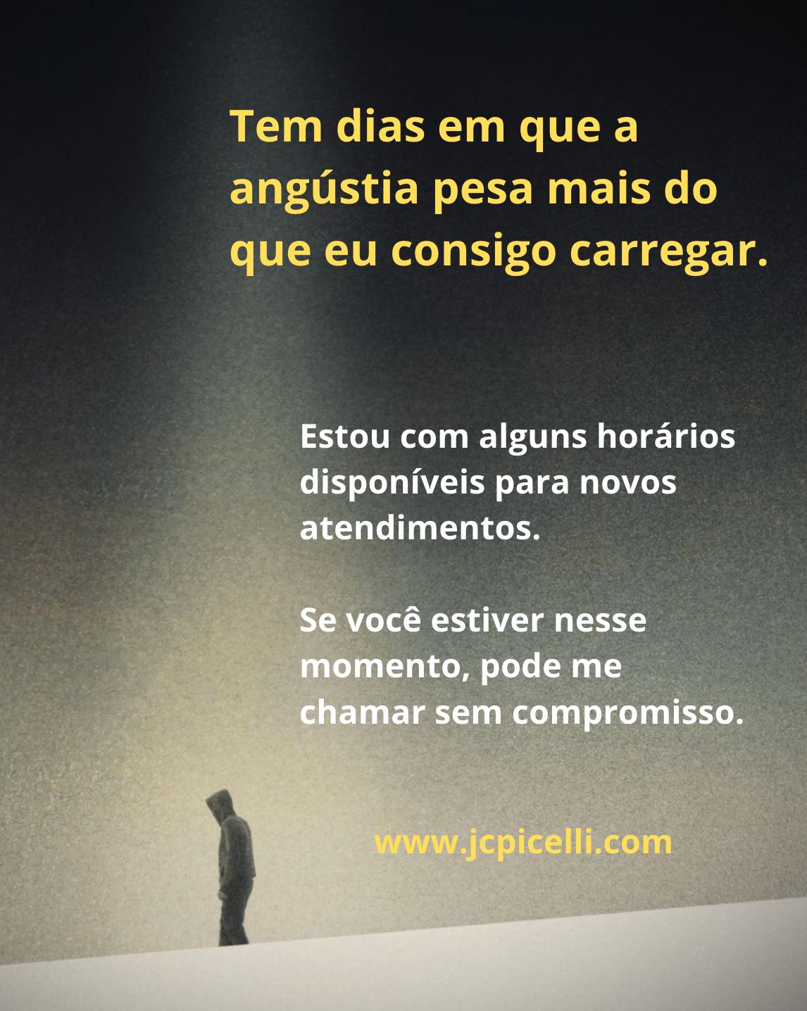Julio Cesar Picelli-0