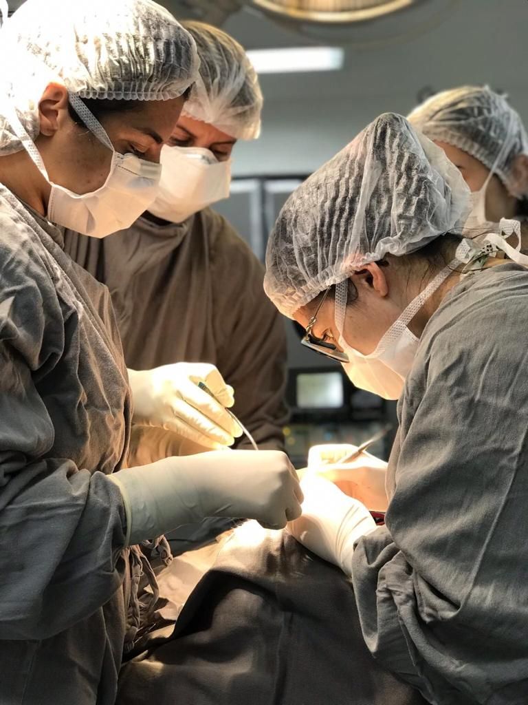 Mayra Rodrigues Mobile-4