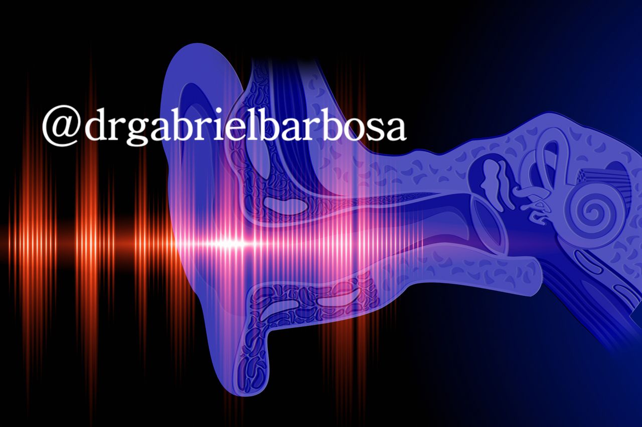 Gabriel Barbosa De Souza-1