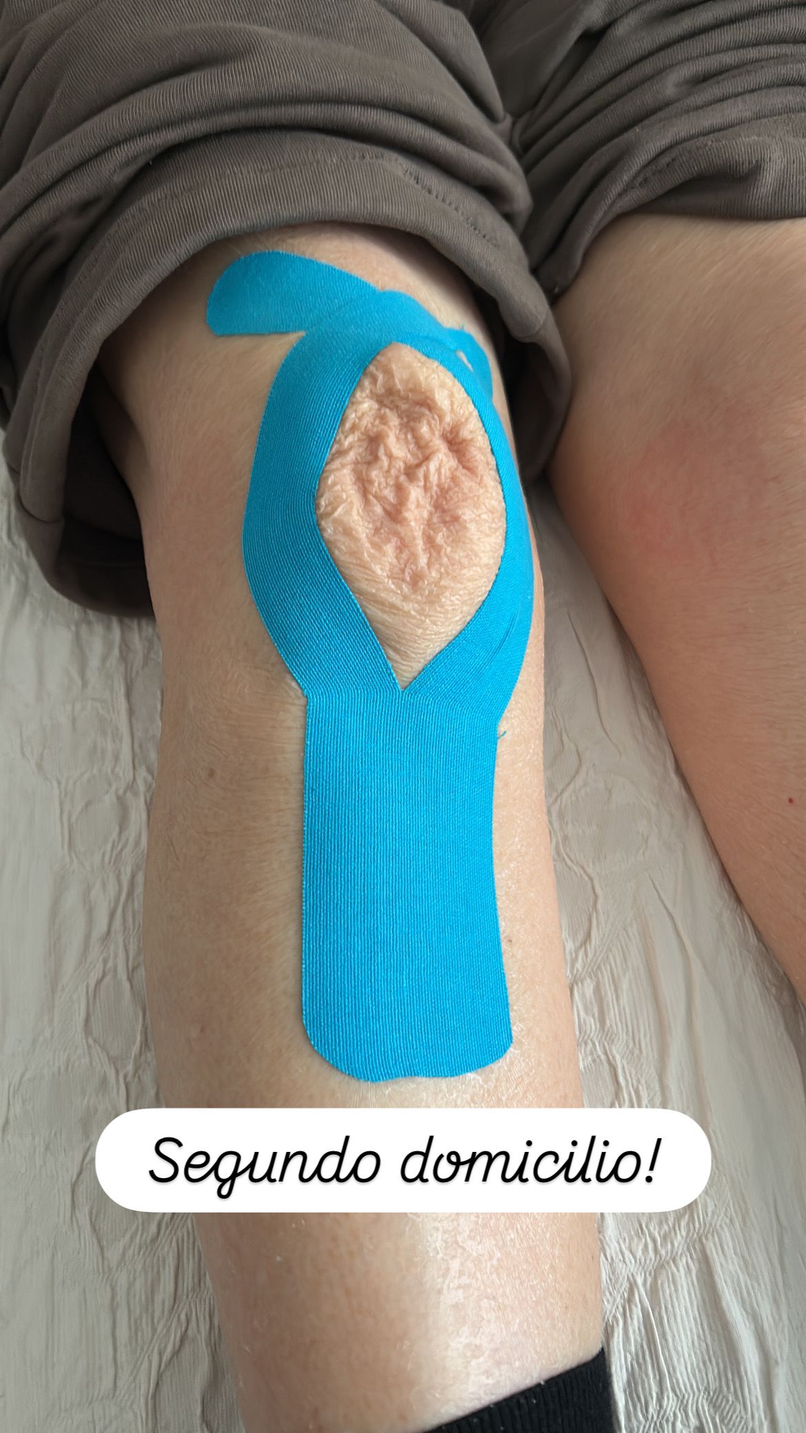 Camila Belen Sepulveda Tiznado-6