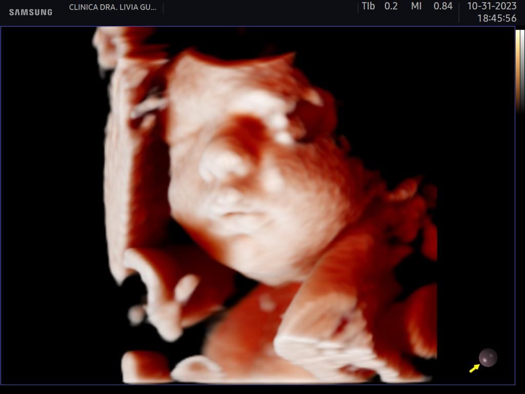 Livia Campelo Guerra Ribeiro-1