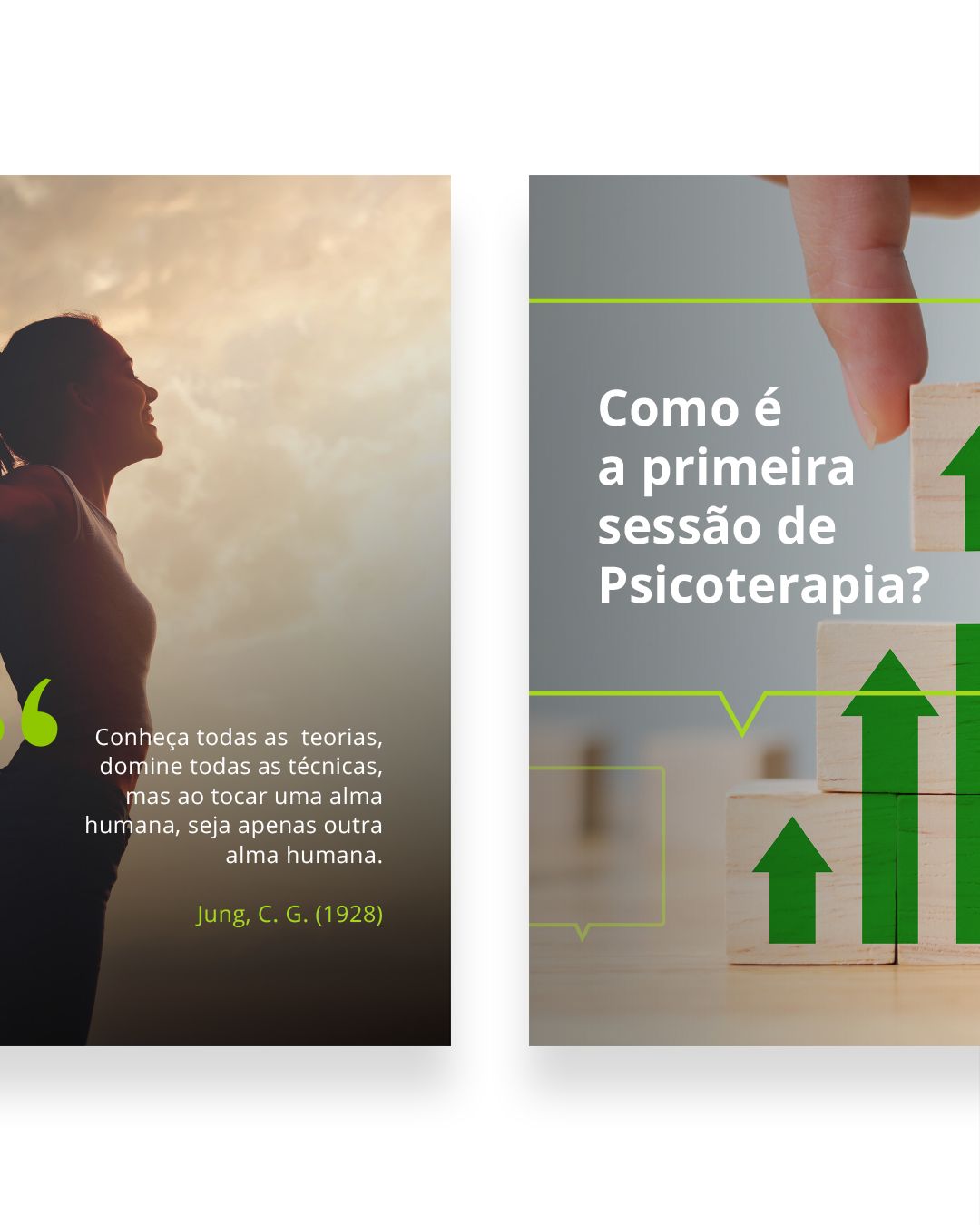 Leonardo Fd Araujo-3