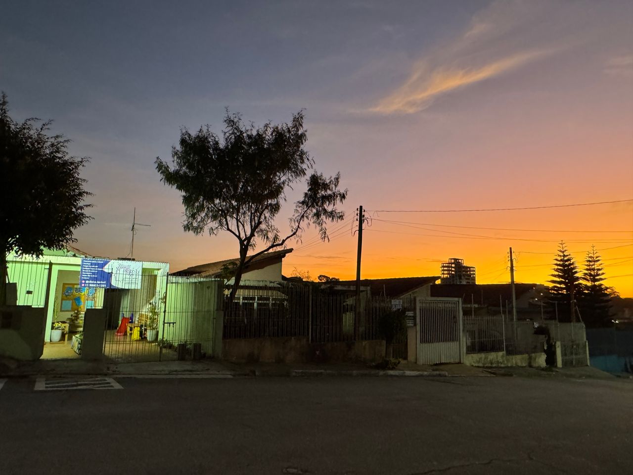 Lais Patricio Vieira-5