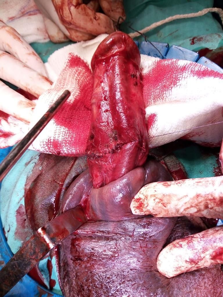 Raúl Federico Larcade-6