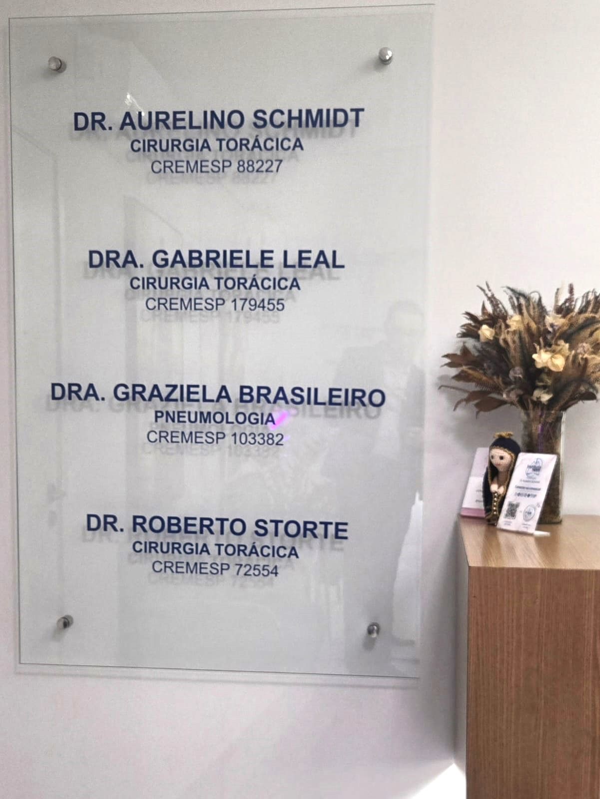 Aurelino Schmidt-1