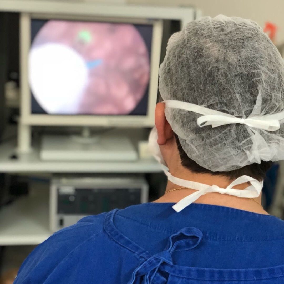 Fernando Zapparoli Gonçalves-5