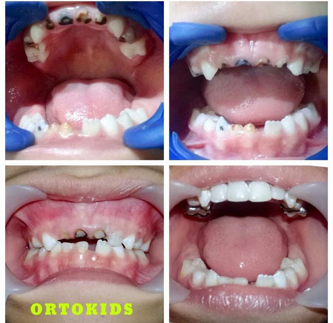 Piedad Mary Martelo Gomez-4