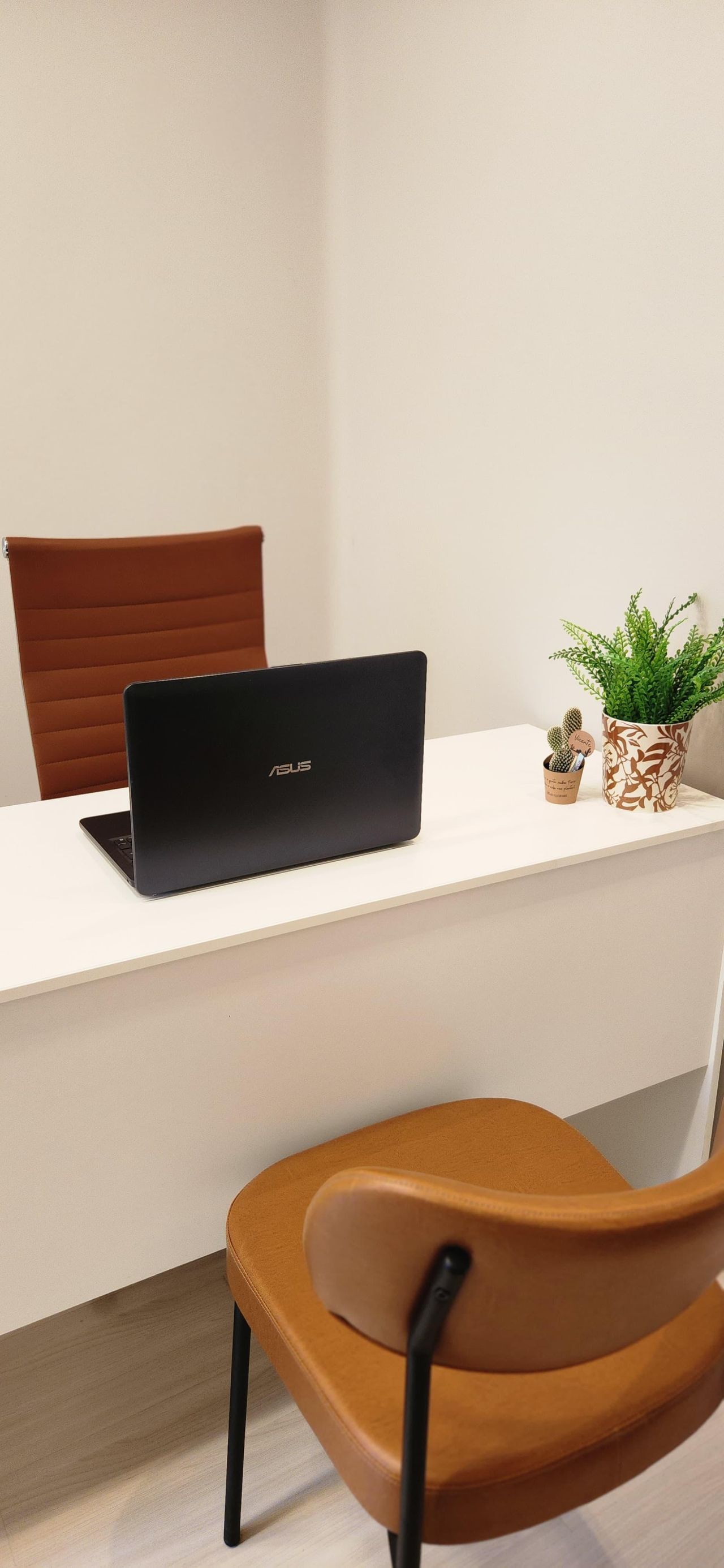 Stephanie Avesani João Figueiredo Carneiro-2