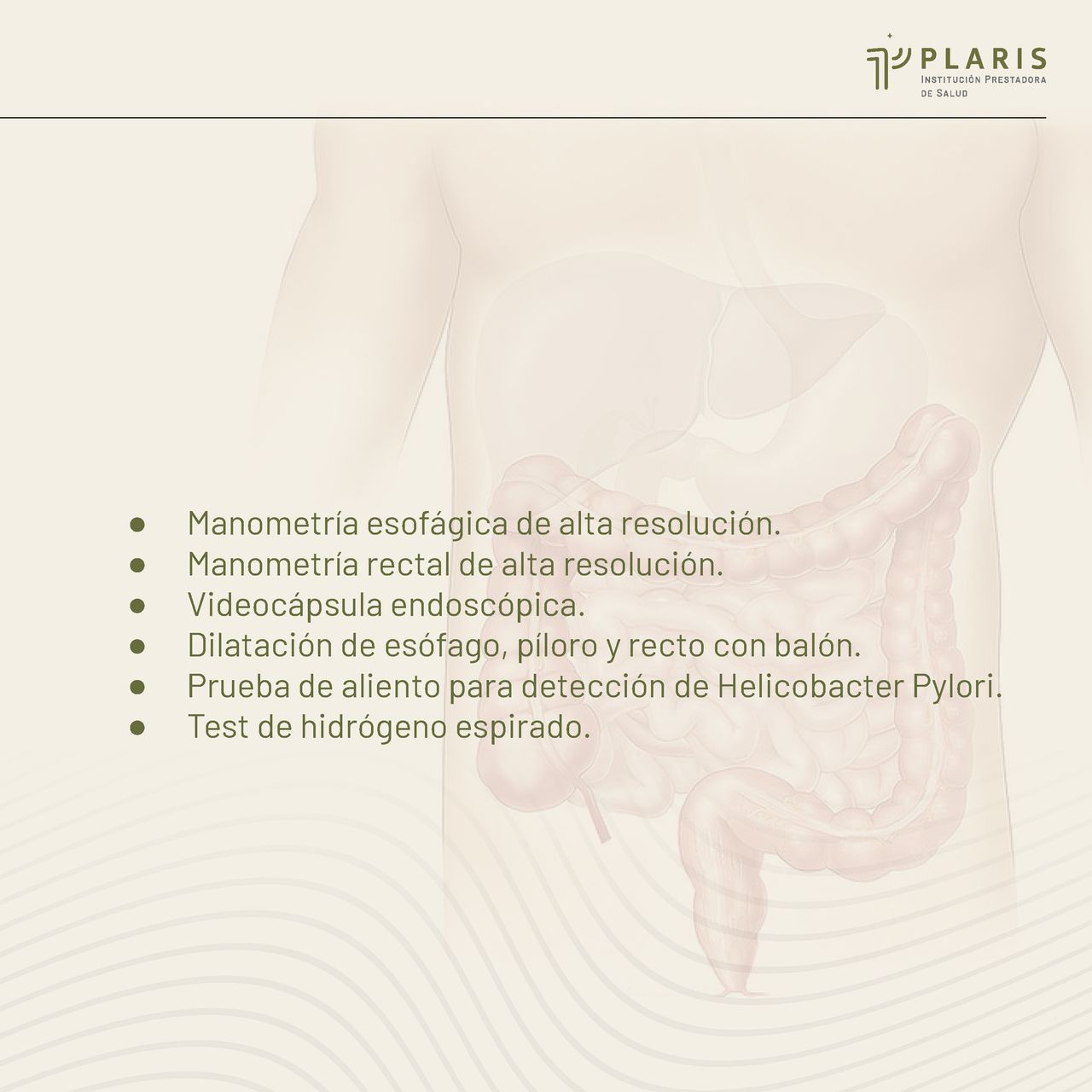 Dinimo José Bolívar Sáenz-15