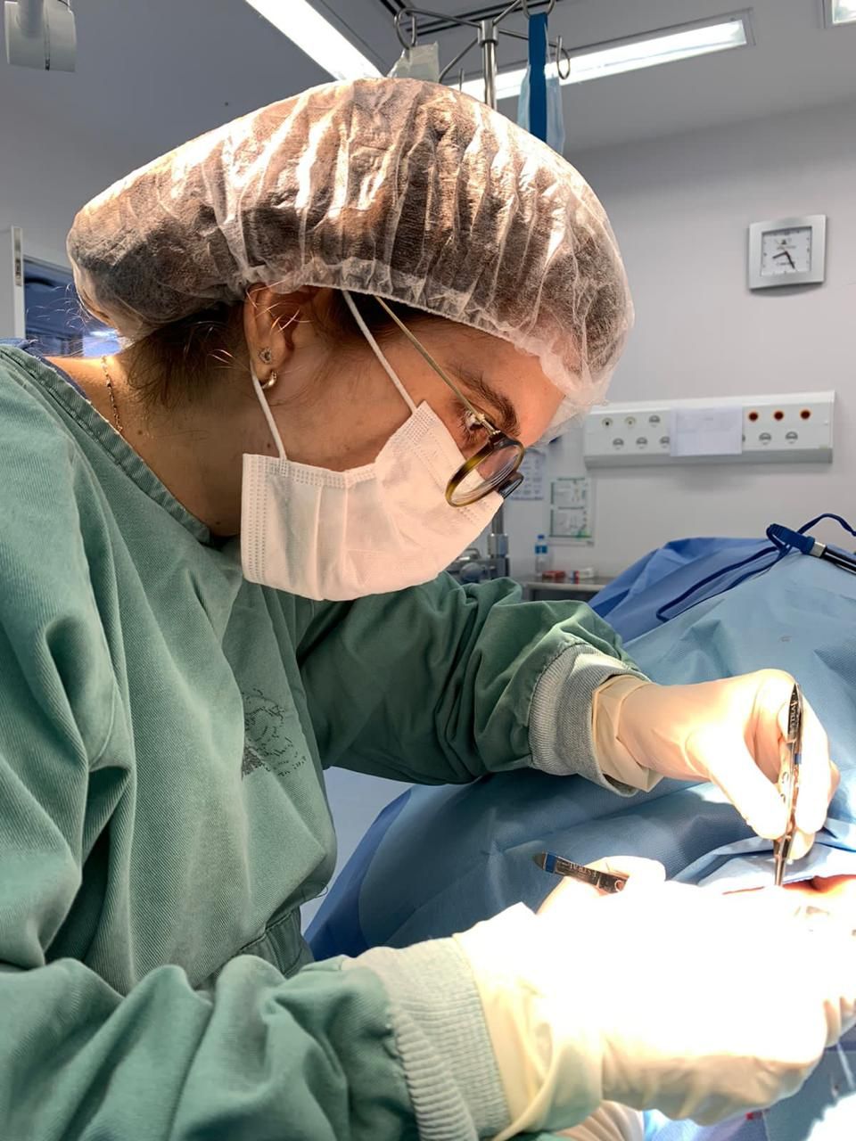 Isabel Ketrim Fernandes Taufie Gazele-5