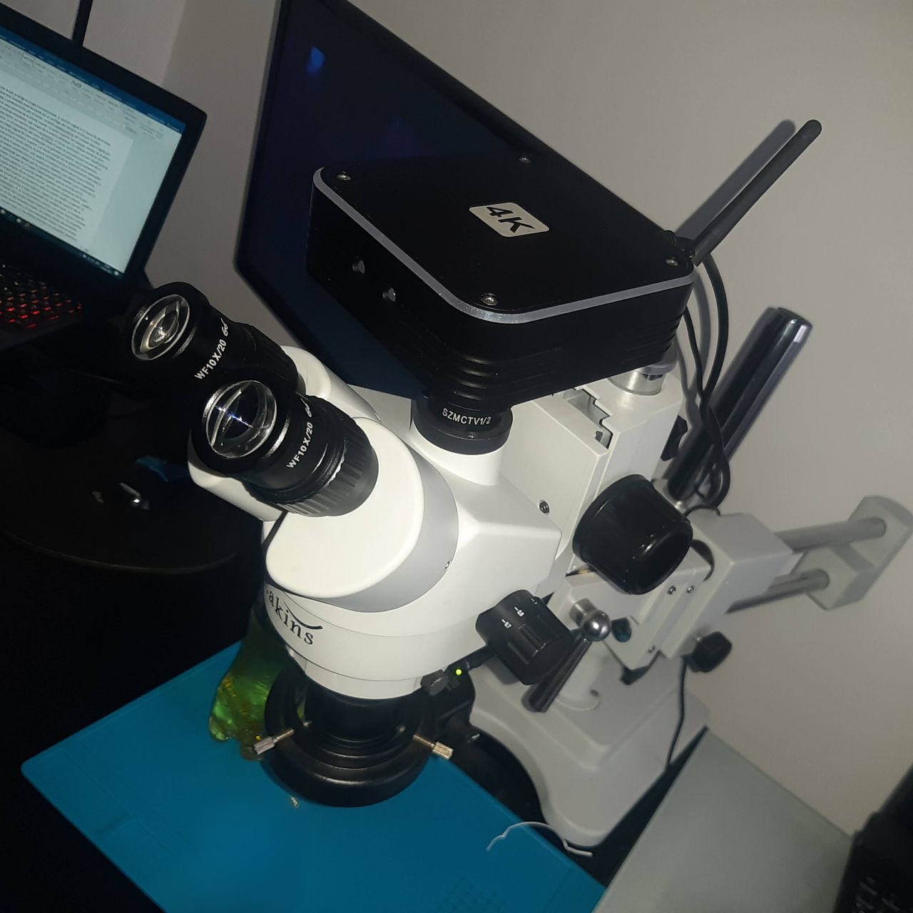 David Tafur Muñoz-1324