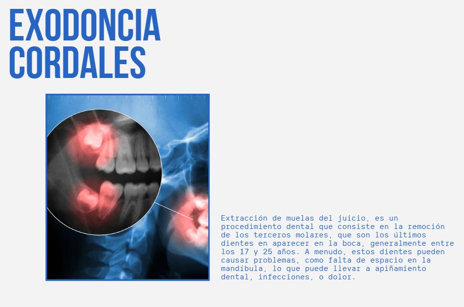 Andrea Londoño Pacheco-3