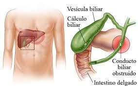 Eduardo Rodrigues Zarco Da Câmara-21