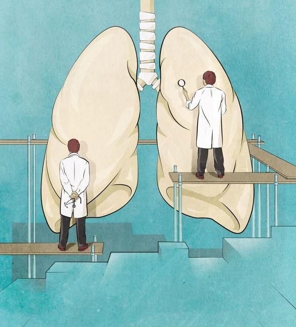 Clarissa Marina Biagioni Silveira-6