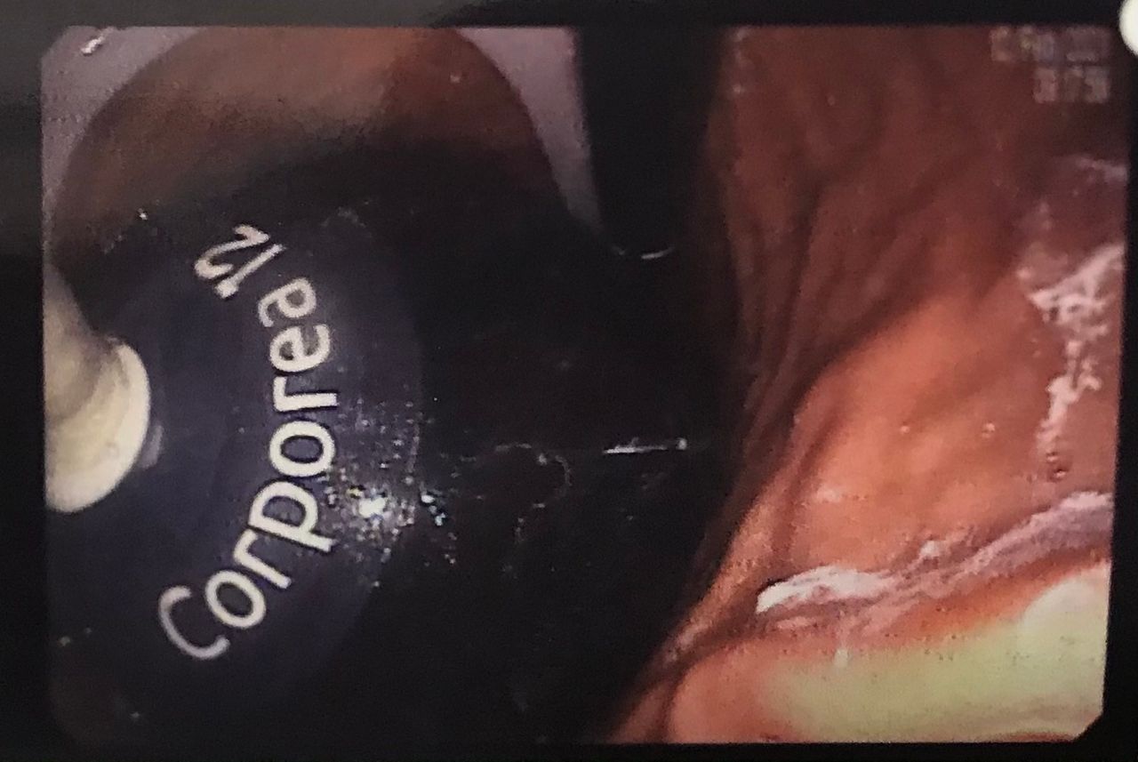 Lucas Menezes Marques-1