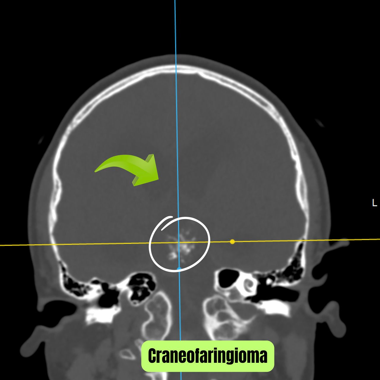 David Tafur Muñoz-2212