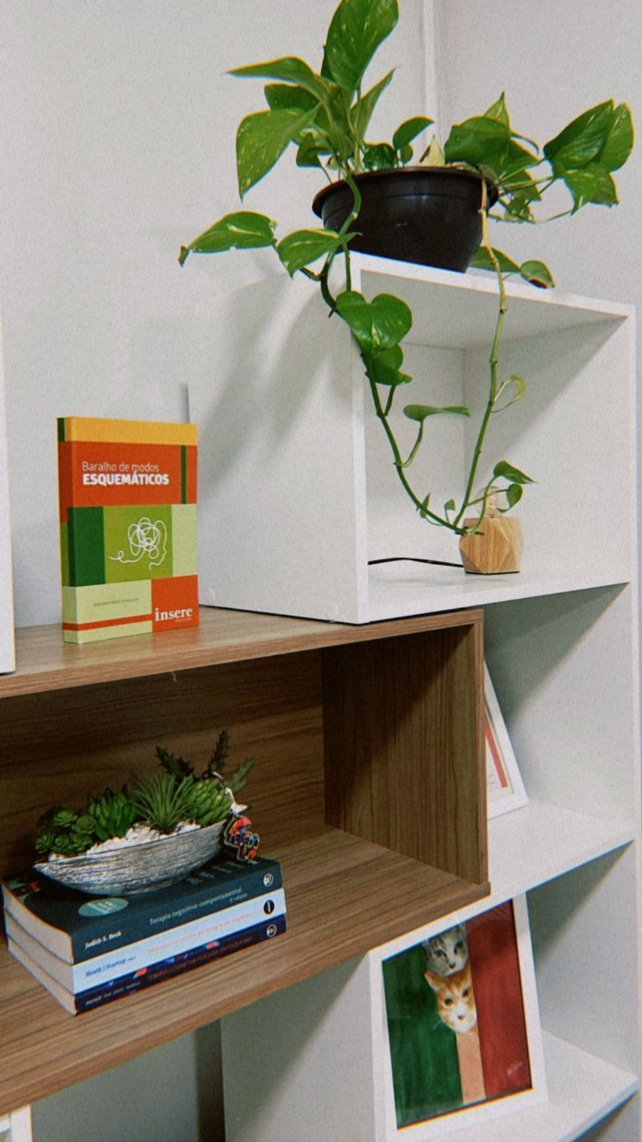 Luiza Christofoletti Vito-0