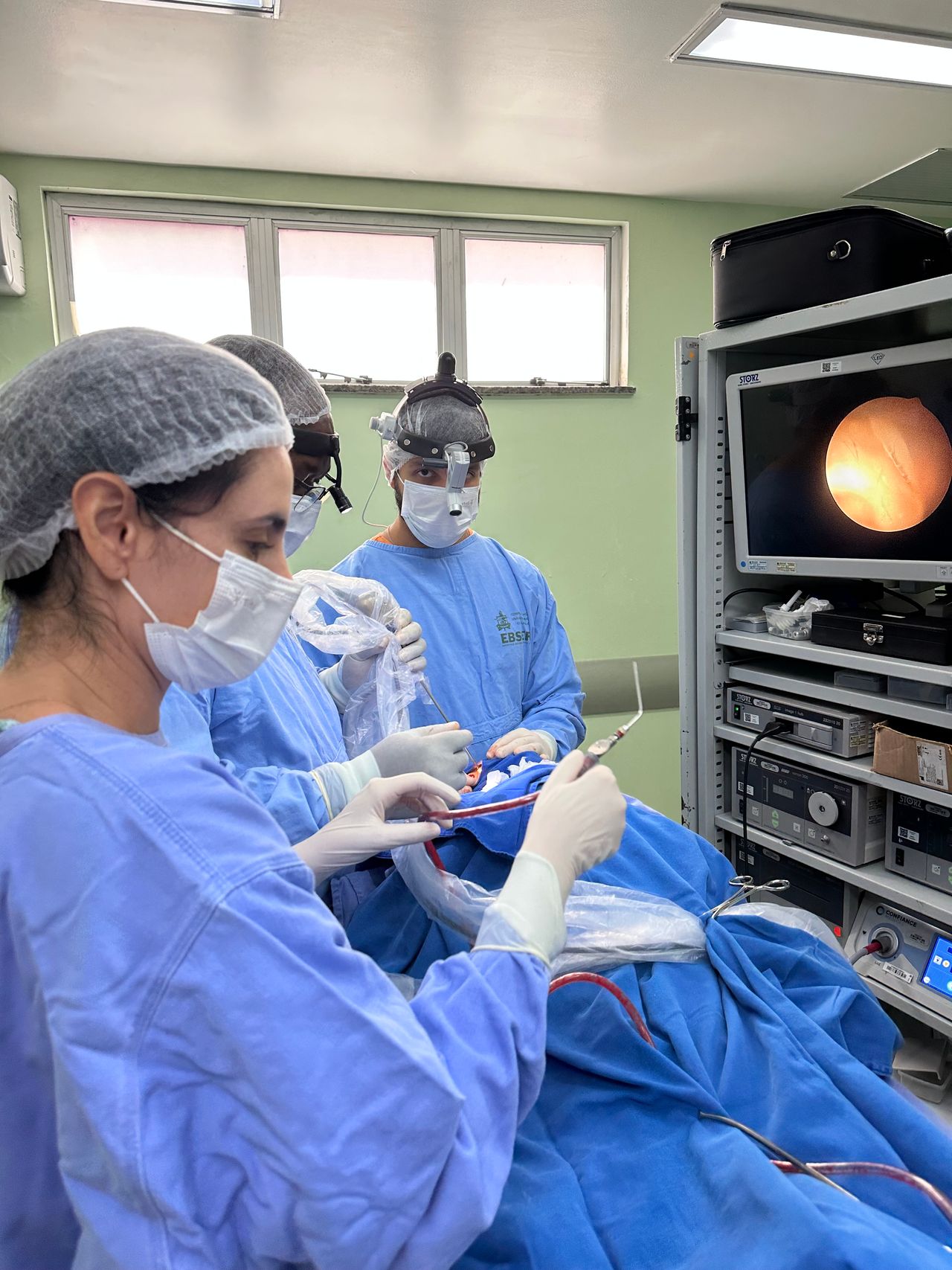 Lorena  Gonçalves Rodrigues-4