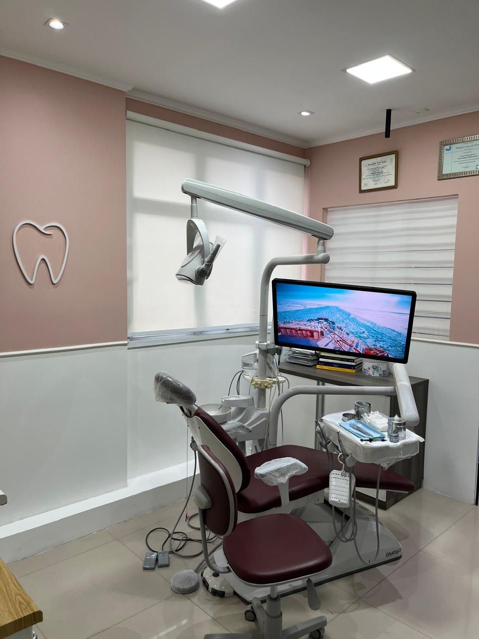 Camila Dias Amengual .-4