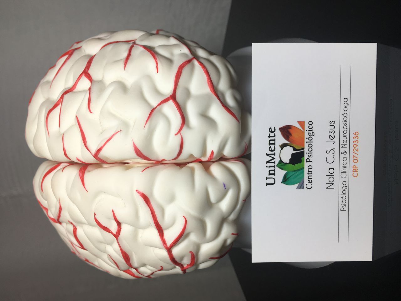 Nola Cátia Santos De Jesus-11