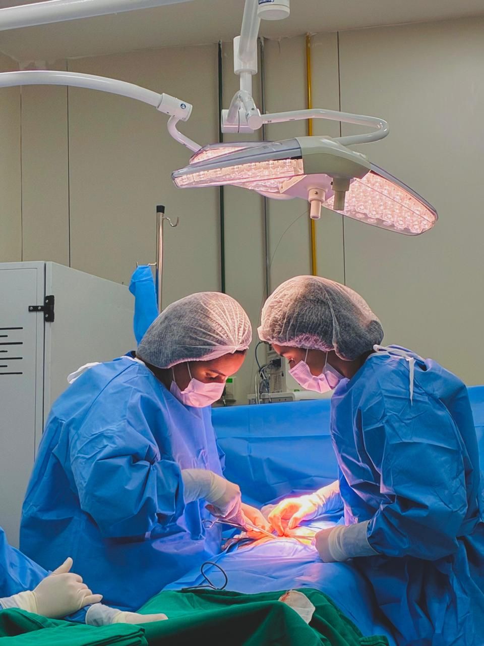 Renata Beatriz Bessa Teixeira-0