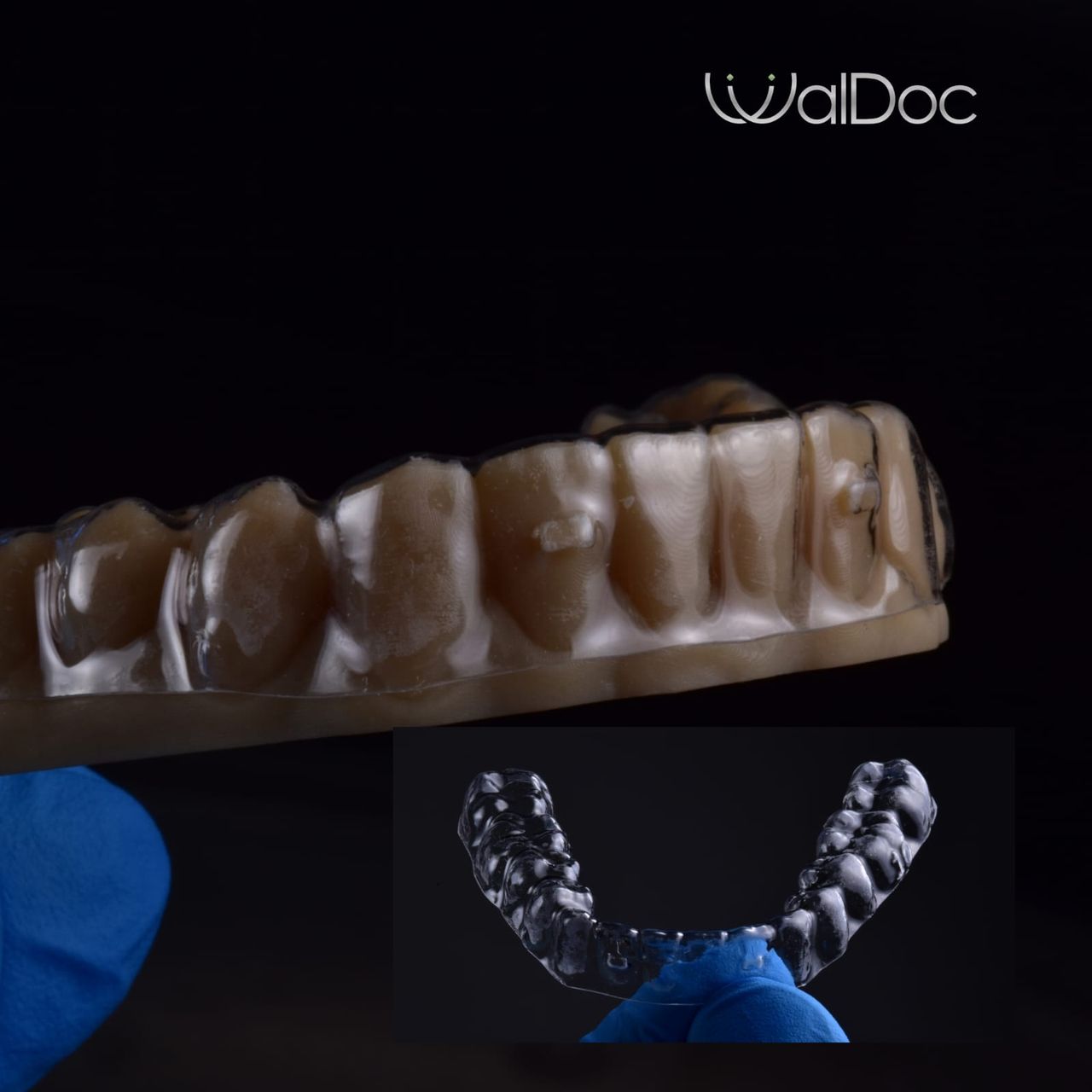 Sharon Andrea Waldo Nicholls-11