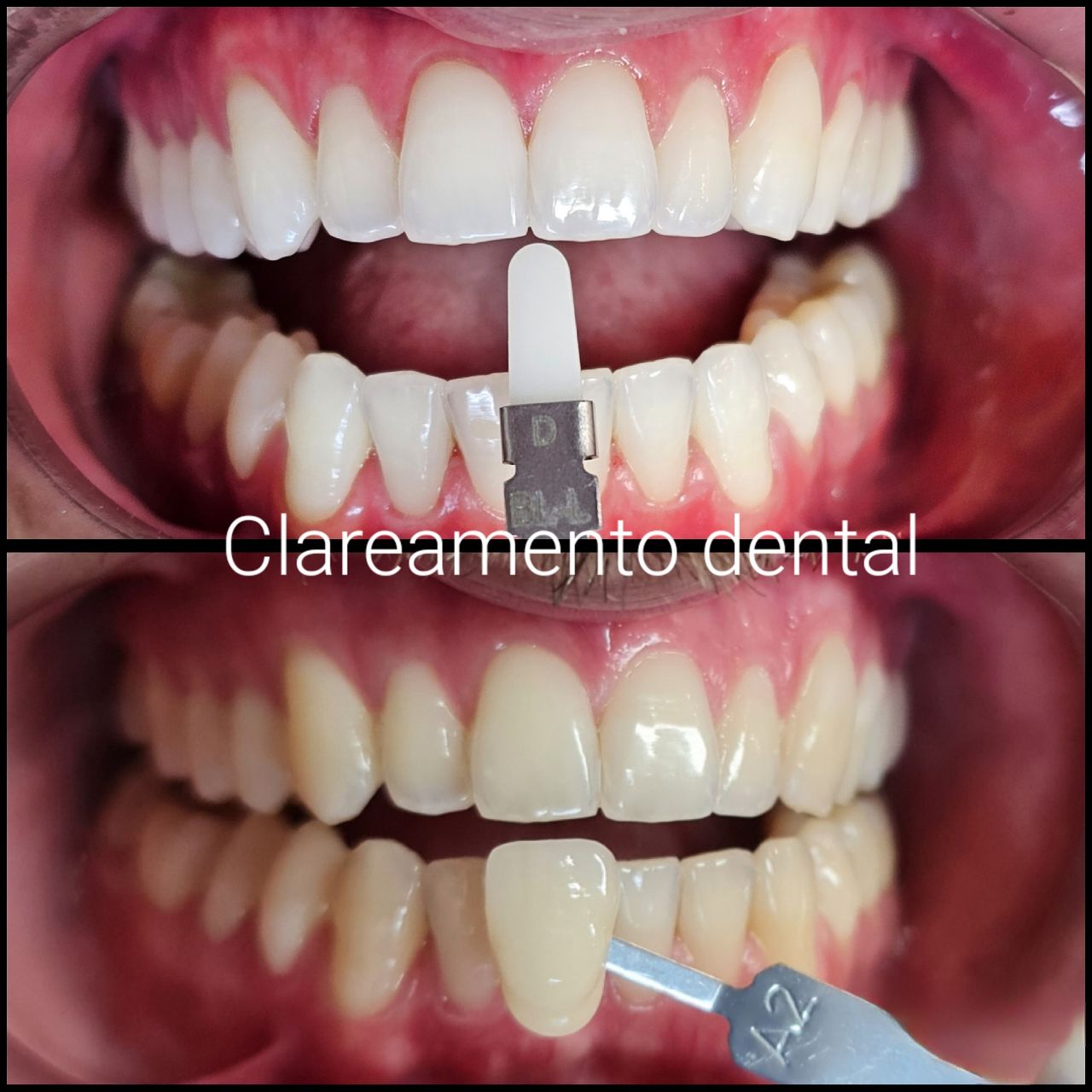 Mariana Mandim Ribeiro Marques-43